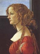 Porfile of a Young Woman (mk45) Botticelli